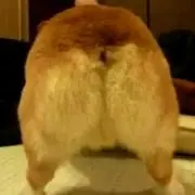 もぅ子
