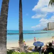 テテグクの画像