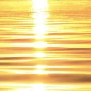 sunshine (断捨離中)の画像