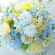 ⭐︎pom⭐︎プロフィール必読⭐︎の画像