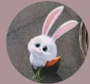 いちごの画像