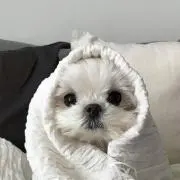 minasunの画像