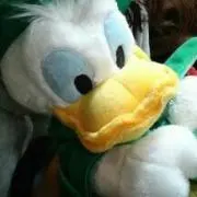 ウナギの画像