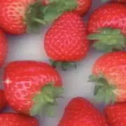 イチゴの画像