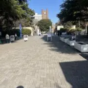 りっこ36の画像