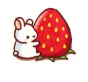 きゅりの画像