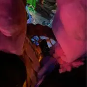 さららの画像