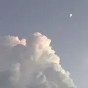 やちの画像
