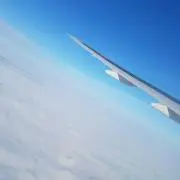 アフリカンズの画像