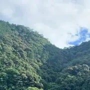 なっちの画像