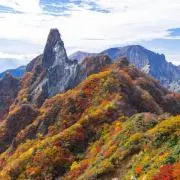 kumaの画像