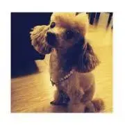 プロフ必読⋆*LINCO✩⃛ೄの画像