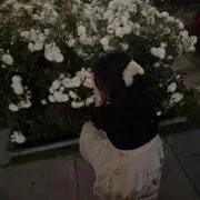 にゃฅ^•ω•^ฅの画像