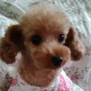 みーこ♡
