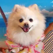 v_そらたん_v