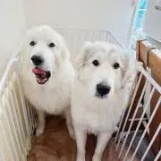 いまりっぷ
