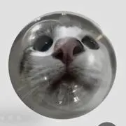 はなの画像
