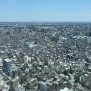 ギョの画像