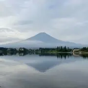コットンキャンディー