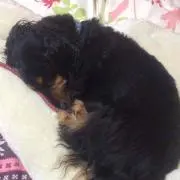 kちゃん