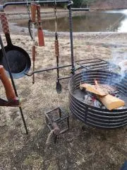 たつのおとしごの画像
