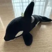 るるルルの画像