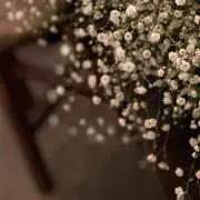 よしおかの画像