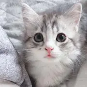 ほー　☆断捨離中☆の画像