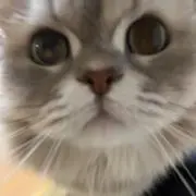 PTP9の画像