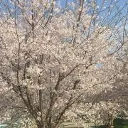 まさまさ♡の画像