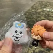 こっちゃんの画像