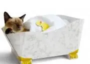 ムタの画像