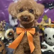 サボ　プロフィール必読下さいの画像