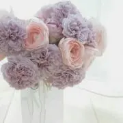 あかりの画像