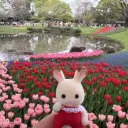 ももの画像