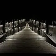 Image of かっしー