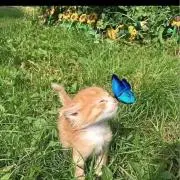 jmkの画像