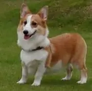aaayaaaの画像