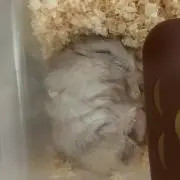みんちゅ☆