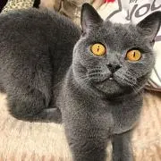まりりん♡