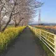 アッキー　即日発送の画像