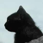 you