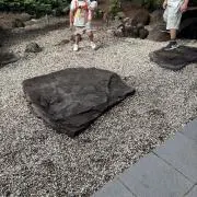 かえでの画像