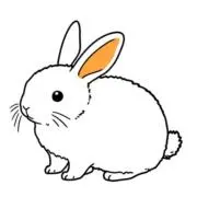 ✿Rabbit✿の画像