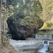 siaの画像
