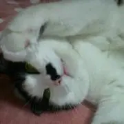 ソラ