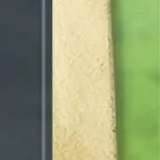 ゆうたの画像