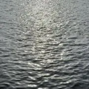 はるの画像