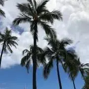 ♡♡＊の画像