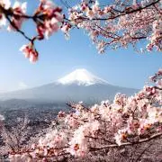QDの画像